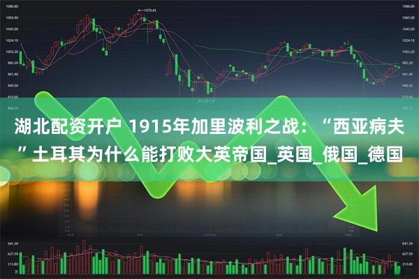 湖北配资开户 1915年加里波利之战：“西亚病夫”土耳其为什么能打败大英帝国_英国_俄国_德国